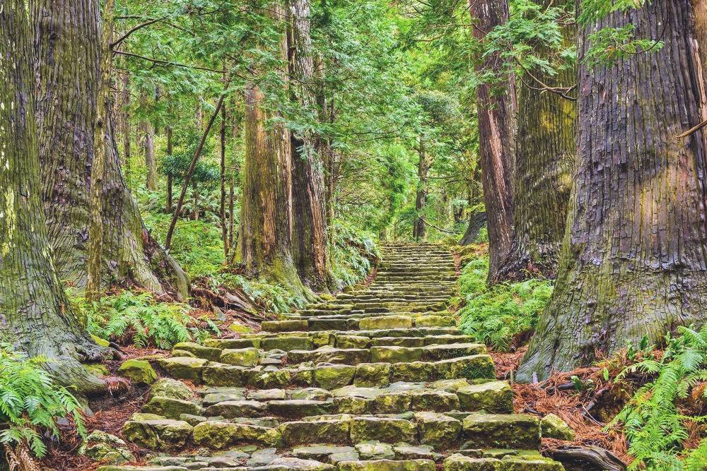 Backyard Travel taking a new look at ancient Japanese Trails