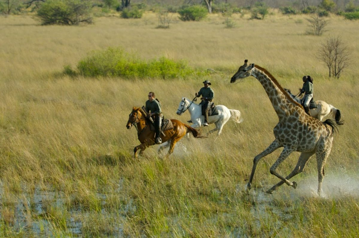 10 great horseback nature escapes