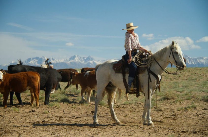 Zapata Ranch, Colorado, herding cattle 3