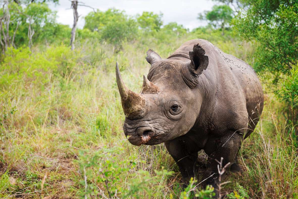 Eswatini now open for Tourism