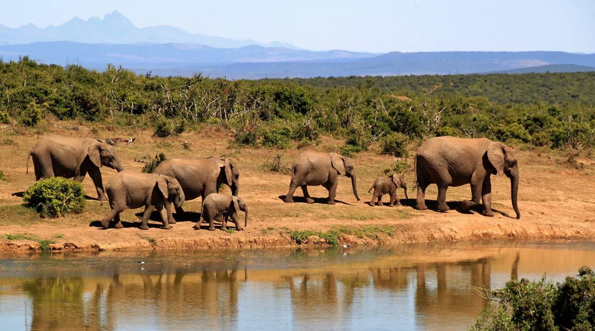 Acacia Africa adds small group tours to nine Countries