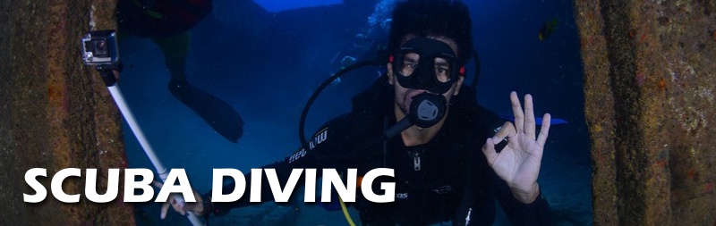 Scuba Diving Blogs on Buggeroff.com