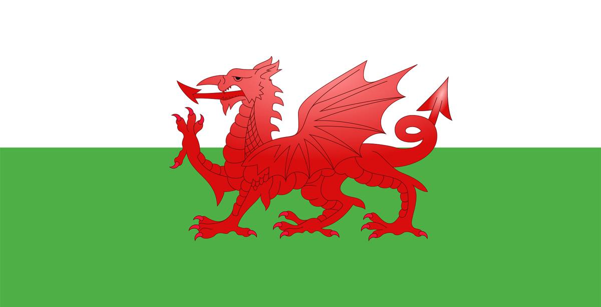 The Welsh Flag