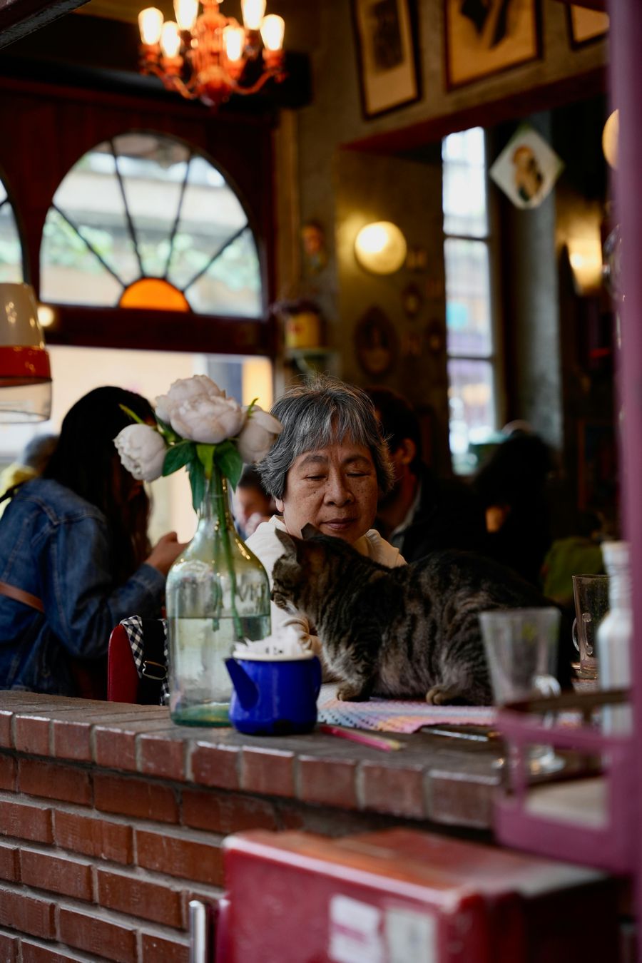 Japan's Cat Cafés are a Purrfect Escape