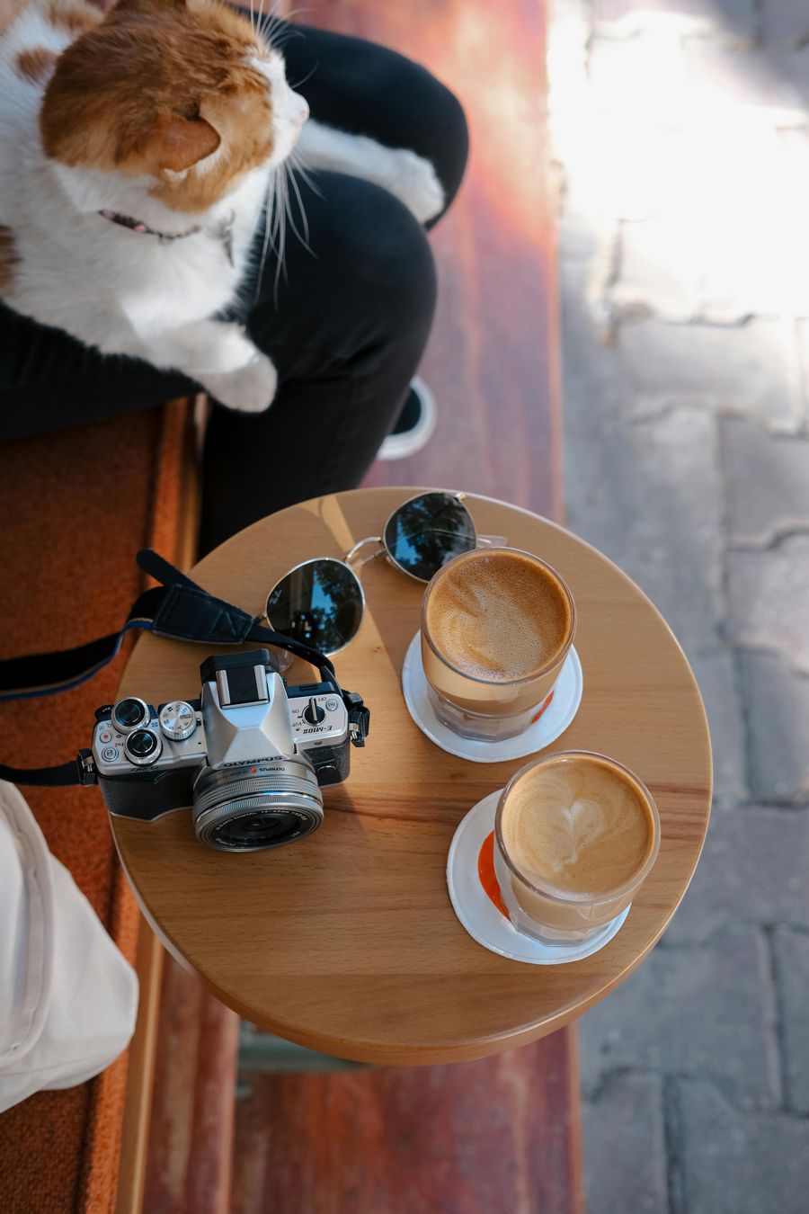 Japan's Cat Cafés are a Purrfect Escape