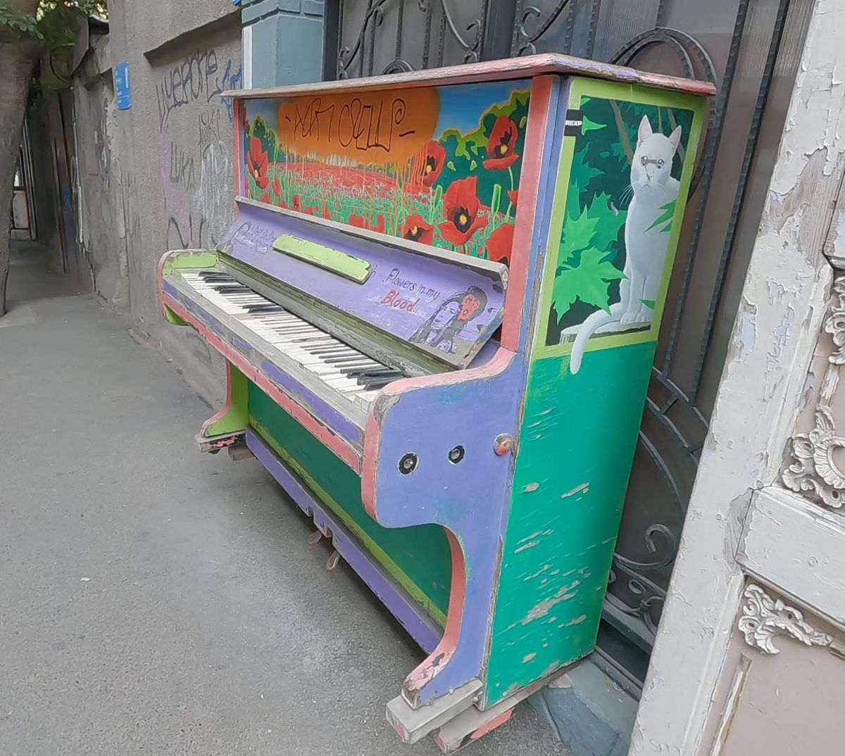 The Magic and Mayhem of Tbilisi