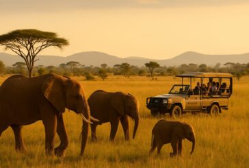 Win the Ultimate African Safari with Acacia Africa's Epic 7-Day Adventure Giveaway