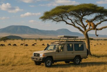 Tanzania Reclaims Its Place On The Safari Map